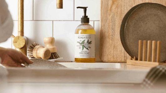 Creating Healthy Homes