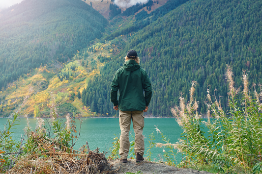 Gut Health – The Key to Men's Vitality
