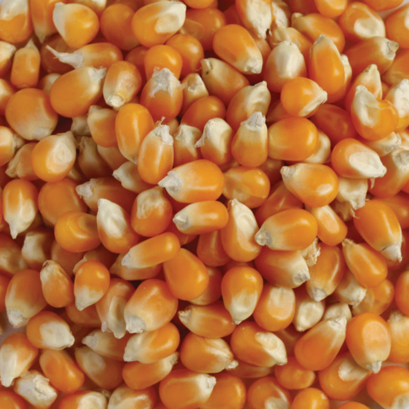 Kialla Organic Popping Corn 400g