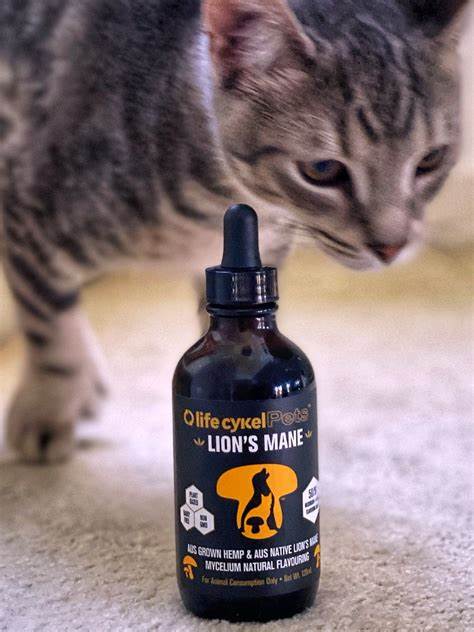 Life Cykel Pets® Lion's Mane Extract 120ml
