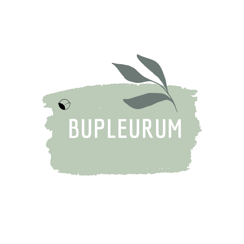Bupleurum