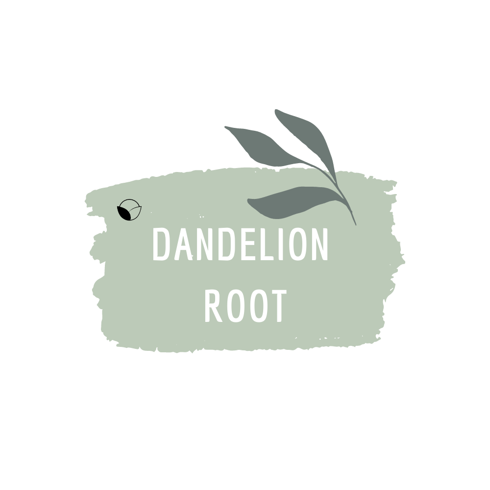 Dandelion Root