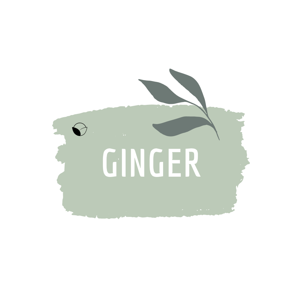 Ginger