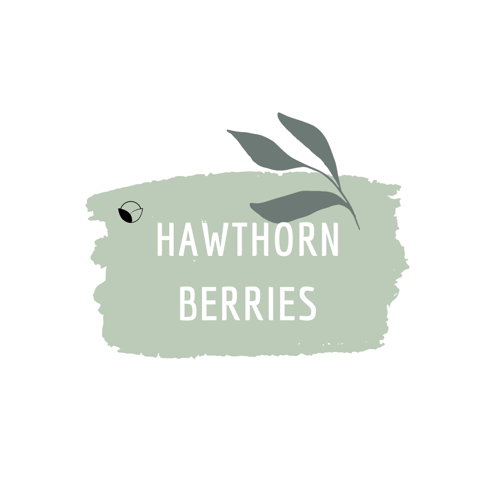 Hawthorn Berries