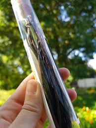 Chef's Choice Vanilla Bean Test Tube 6g