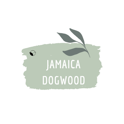 Jamaica Dogwood