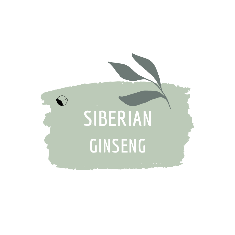 Siberian Ginseng