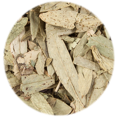 Healing Concepts Senna Leaf 40g