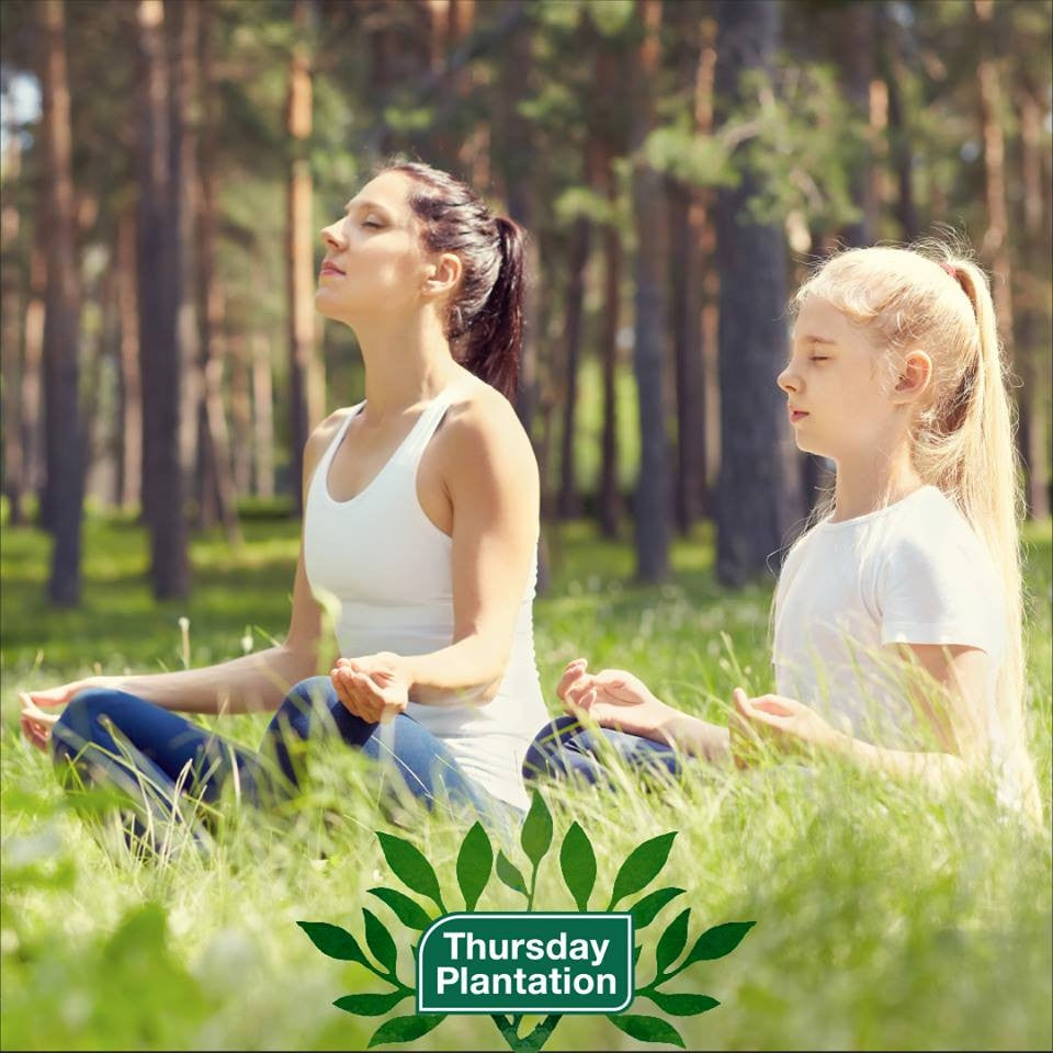 Thursday Plantation-Tea Tree Everyday Shampoo 250ml