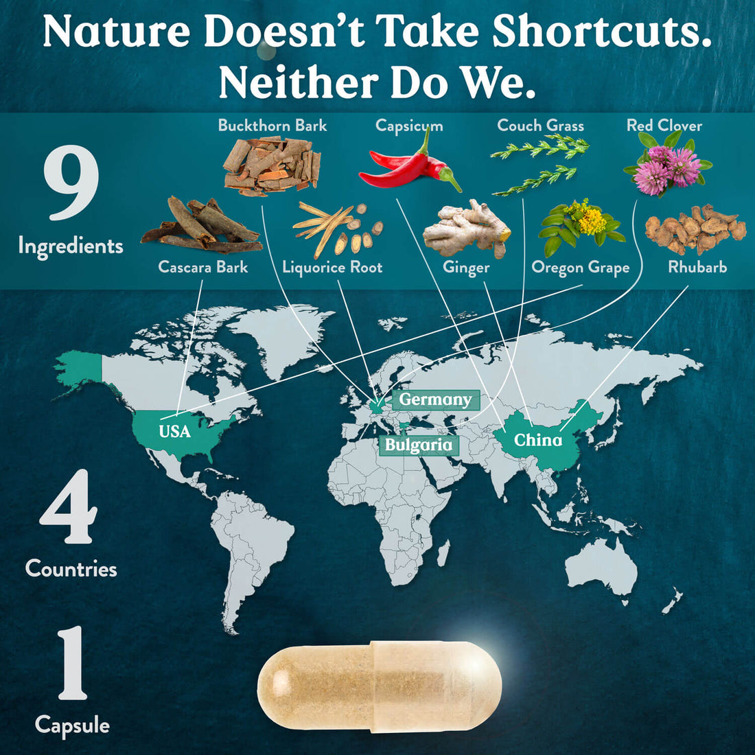Natures Sunshine Lower Bowel Stimulant 100 Capsules