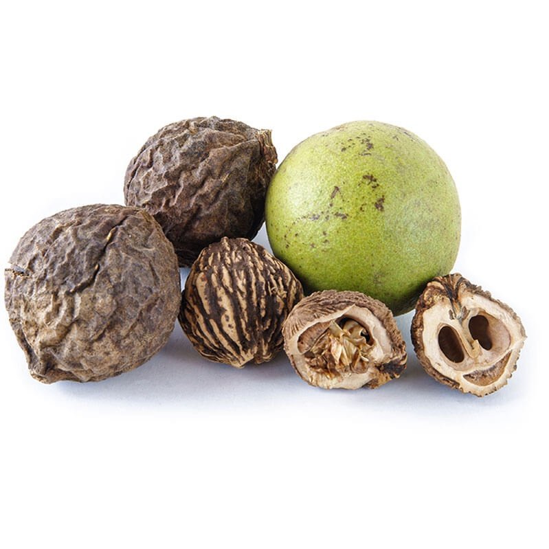 Nature's Sunshine Black Walnut 500mg 100c