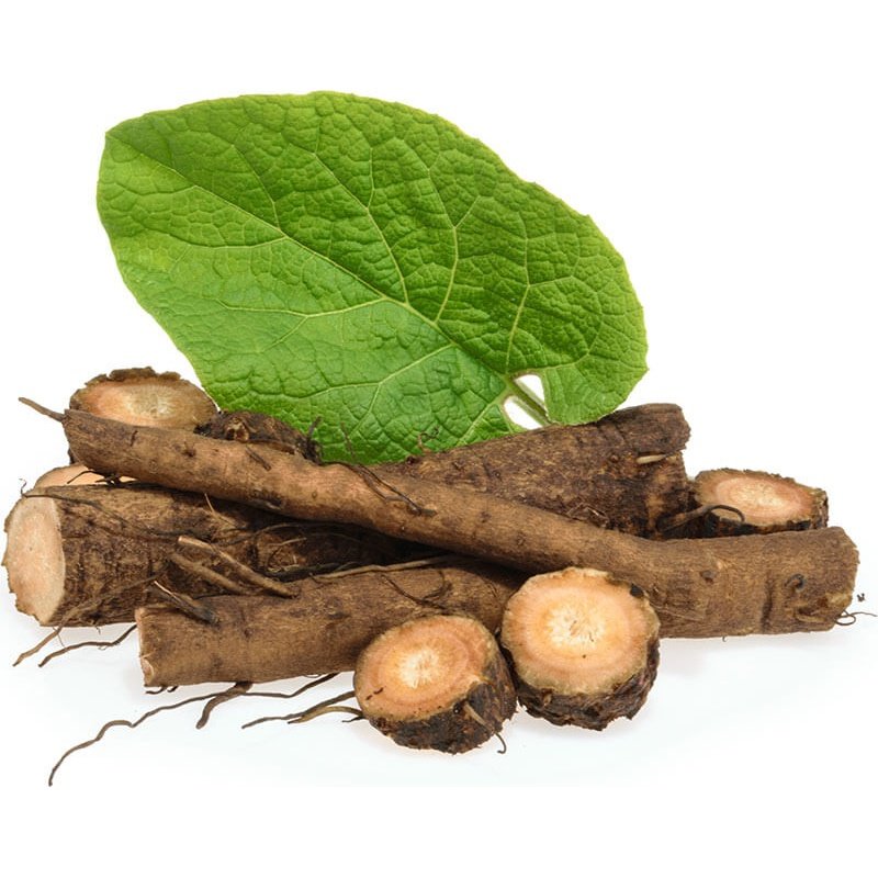 Nature's Sunshine Burdock 410mg 100c