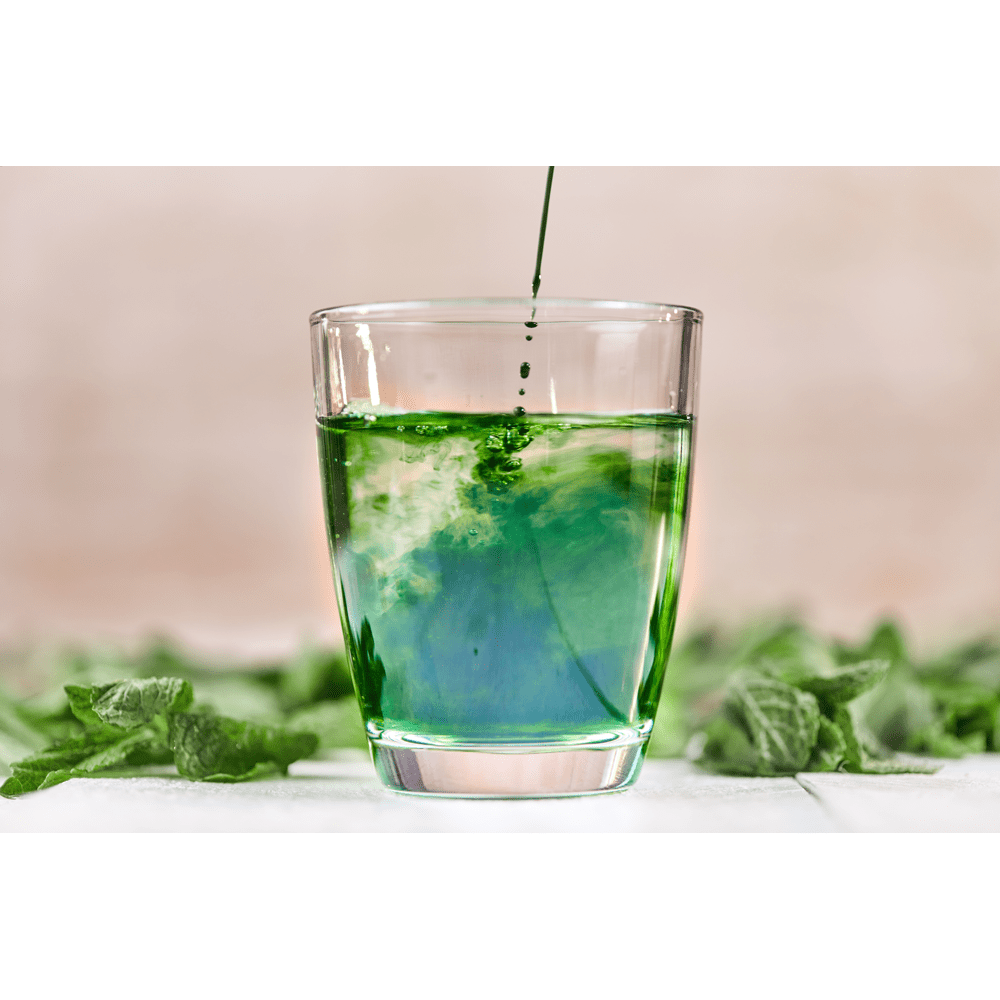 Nature's Sunshine Chlorophyll Liquid 473ml