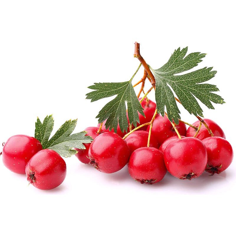 Nature's Sunshine Hawthorn Berry 450mg 100c