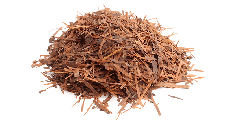 Natures Sunshine Pau D'Arco 500mg 100 Capsules