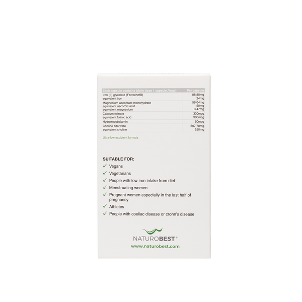 NaturoB Iron & Brain Supp 30c