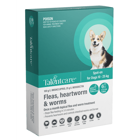 Talentcare® Spot-on All-in-one Protection from Fleas and Worms for Dogs 10 – 25 kg