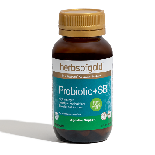 Herbs of Gold Probiotic + SB 14vc