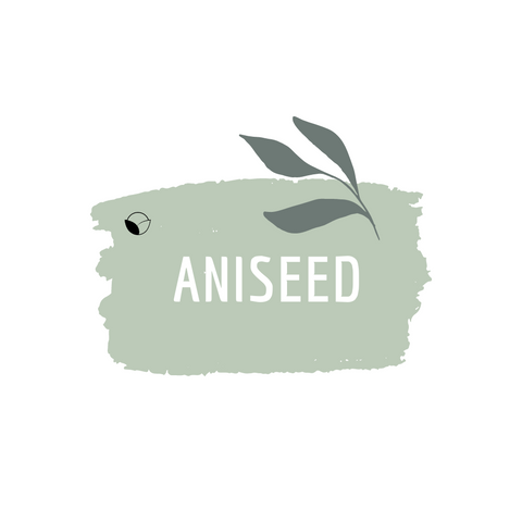 Aniseed
