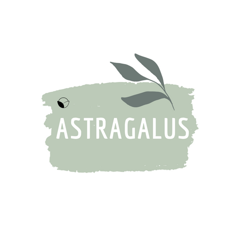 Astragalus