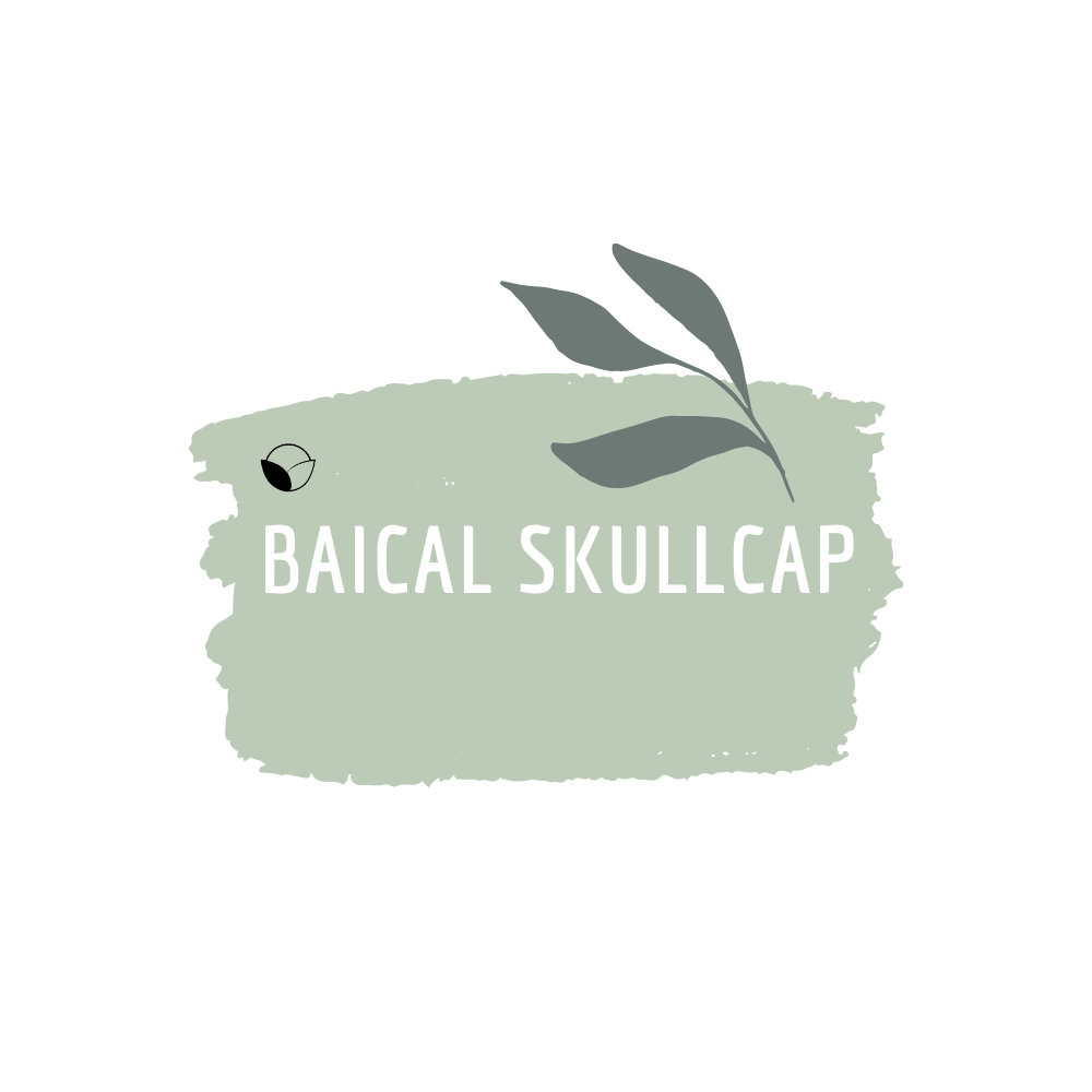 Baical Skullcap