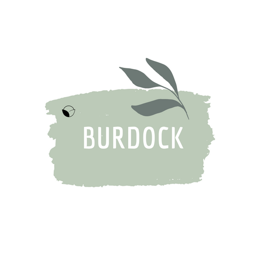 Burdock
