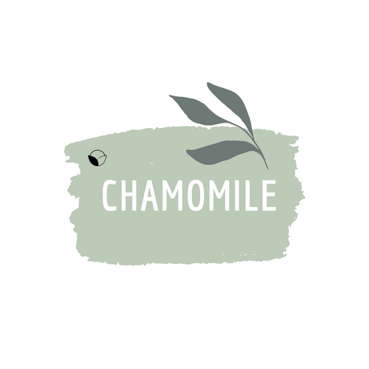 Chamomile