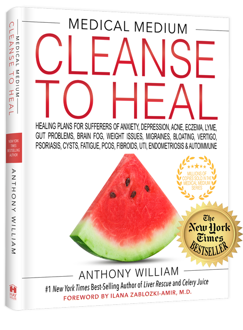 BOOK Medical Medium Cleanse to Heal