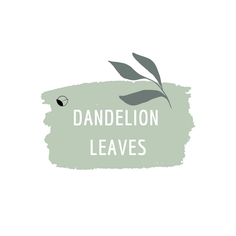 Dandelion Leaves