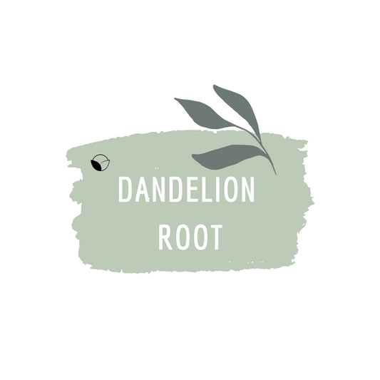 Dandelion Root