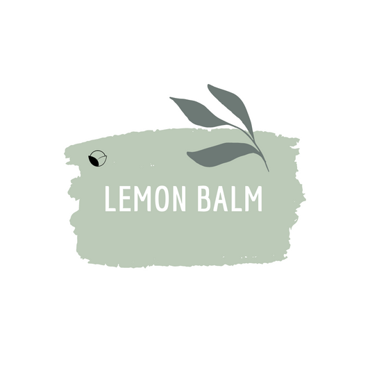 Lemon Balm