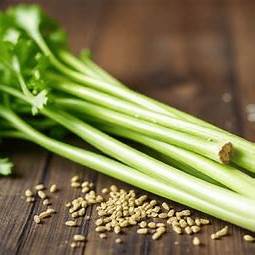 Celery Seed 100g