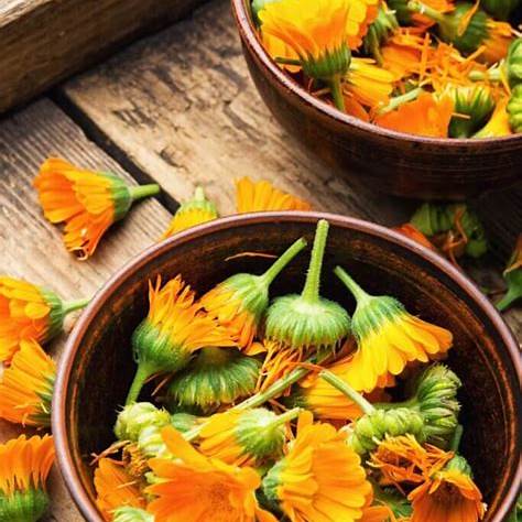 Calendula Flowers 100g