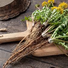 Dandelion Root Roasted 100g